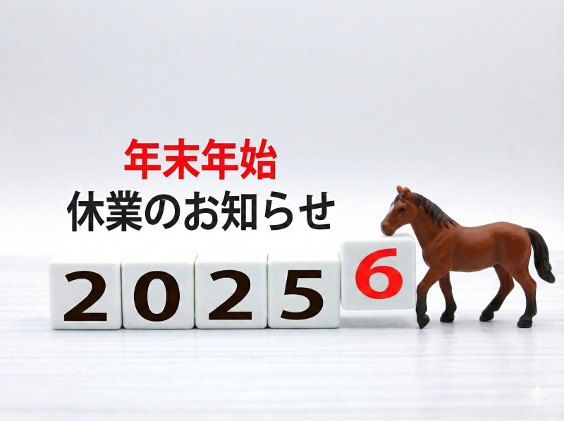 null 2026New year holiday season