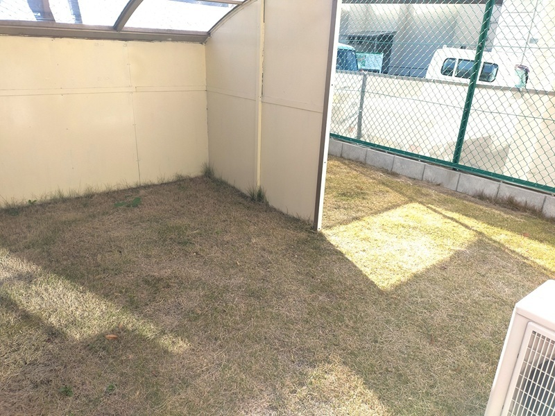ペットおあずかりセンター 屋根付きの庭(写真:コヌンカーネ) ペットおあずかりセンター 屋根付きの庭(写真:コヌンカーネ)
