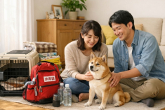 東日本大震災から15年。ペットと暮らす家の防災を“フェーズフリー”で整える