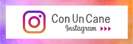 Con Un Cane（コヌンカーネ）公式インスタグラム